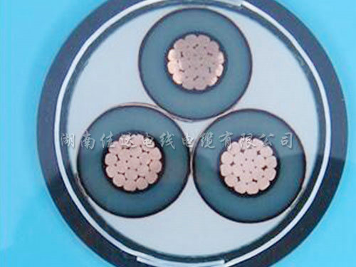 交联铠装系列日本香蕉视频