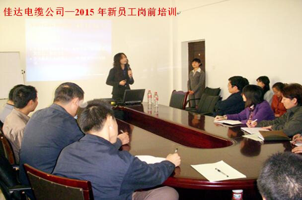 湖南香蕉视频网站电线电缆有限公司,香蕉视频网站电线电缆,日本香蕉视频系列,控制电缆,电线电缆企业哪里好