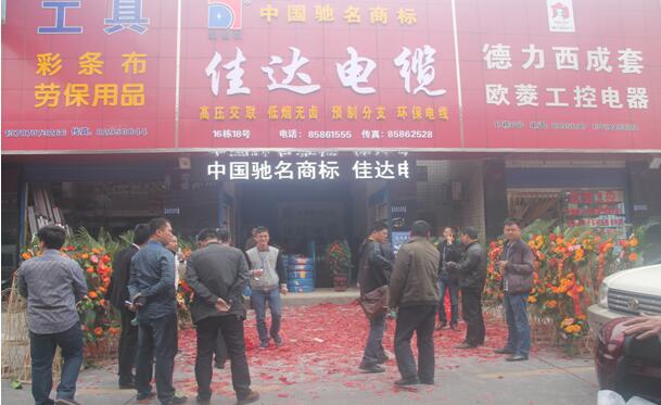 湖南香蕉视频网站电线电缆有限公司,香蕉视频网站电线电缆,日本香蕉视频系列,控制电缆,电线电缆企业哪里好