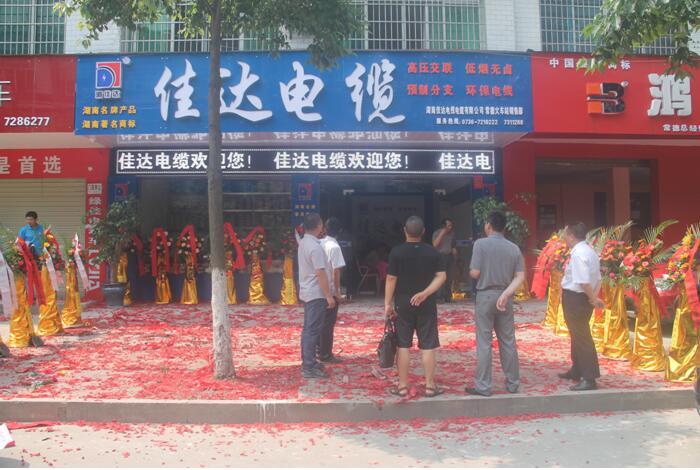 湖南香蕉视频网站电线电缆有限公司,香蕉视频网站电线电缆,日本香蕉视频系列,控制电缆,电线电缆企业哪里好