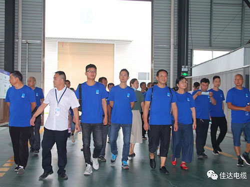 香蕉视频网站电缆有限公司,香蕉视频网站电缆,湖南香蕉视频网站，