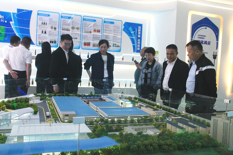 香蕉视频网站电缆有限公司,香蕉视频网站电缆,湖南香蕉视频网站，