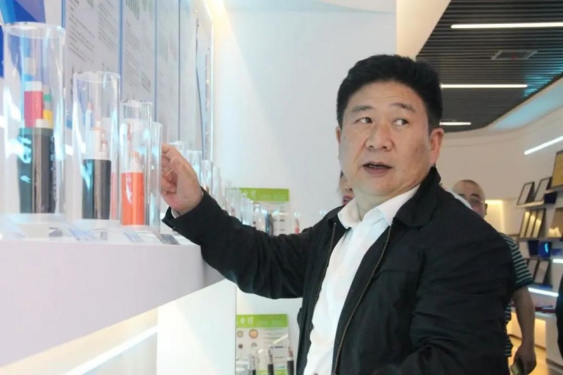 香蕉视频网站电缆有限公司,香蕉视频网站电缆,湖南香蕉视频网站，