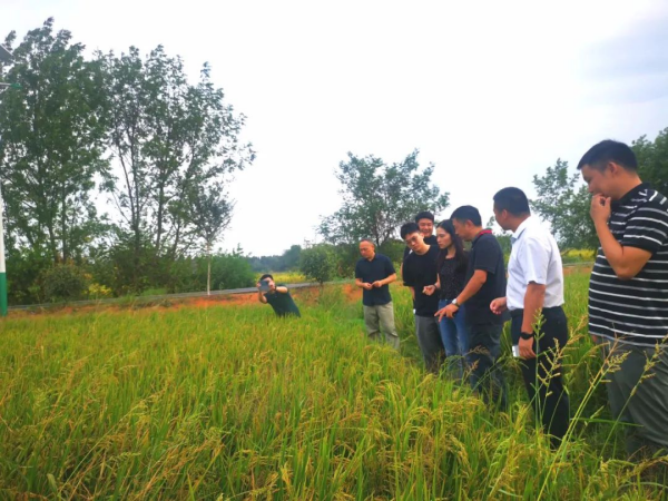 香蕉视频网站电缆有限公司,香蕉视频网站电缆,湖南香蕉视频网站，